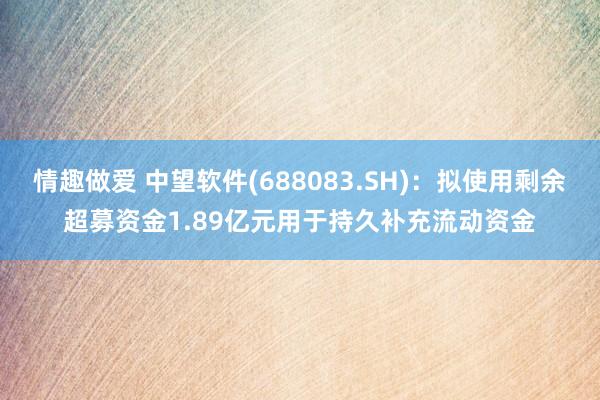 情趣做爱 中望软件(688083.SH):拟使用剩余超募资金1.89亿元用于持久补充流动资金