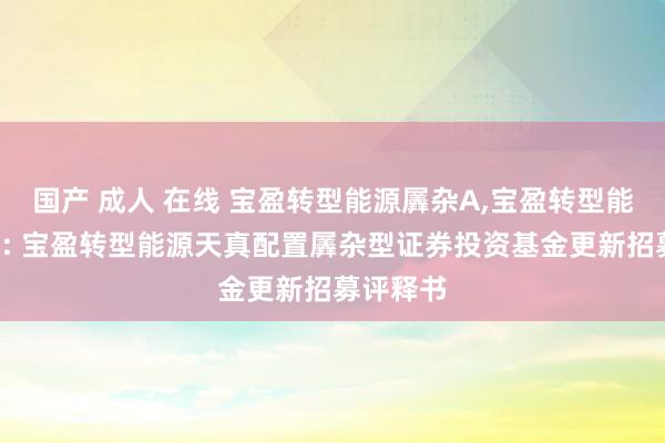 国产 成人 在线 宝盈转型能源羼杂A,宝盈转型能源羼杂C: 宝盈转型能源天真配置羼杂型证券投资基金更新招募评释书