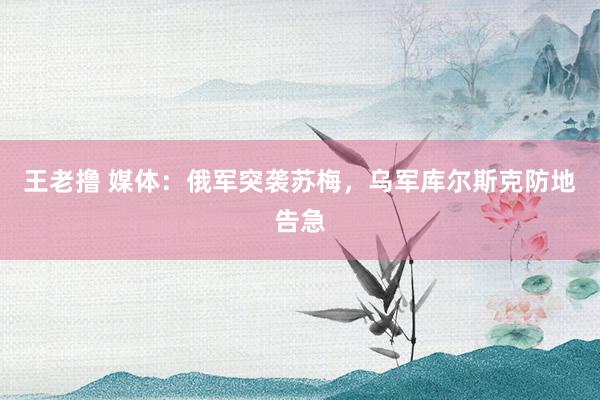 王老撸 媒体：俄军突袭苏梅，乌军库尔斯克防地告急