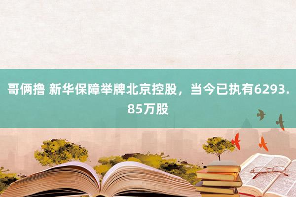 哥俩撸 新华保障举牌北京控股，当今已执有6293.85万股