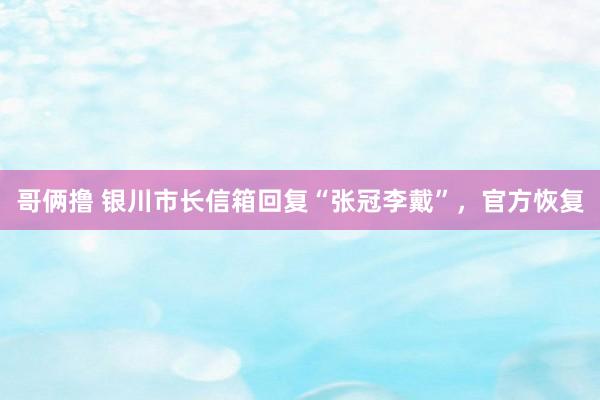 哥俩撸 银川市长信箱回复“张冠李戴”，官方恢复