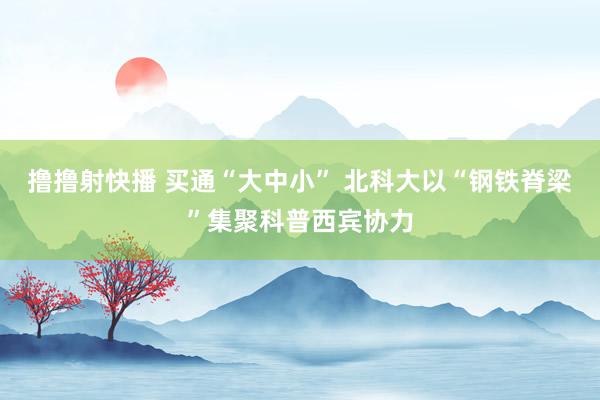 撸撸射快播 买通“大中小” 北科大以“钢铁脊梁”集聚科普西宾协力