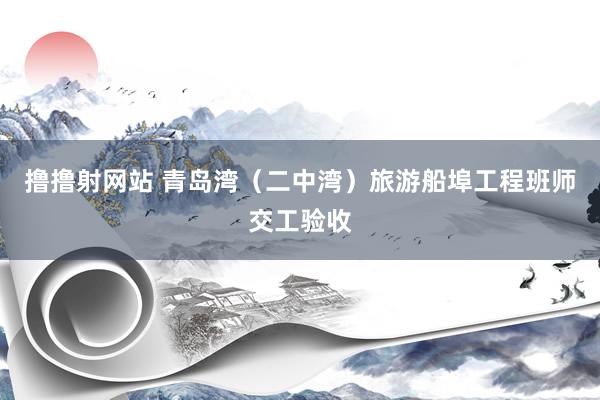 撸撸射网站 青岛湾（二中湾）旅游船埠工程班师交工验收