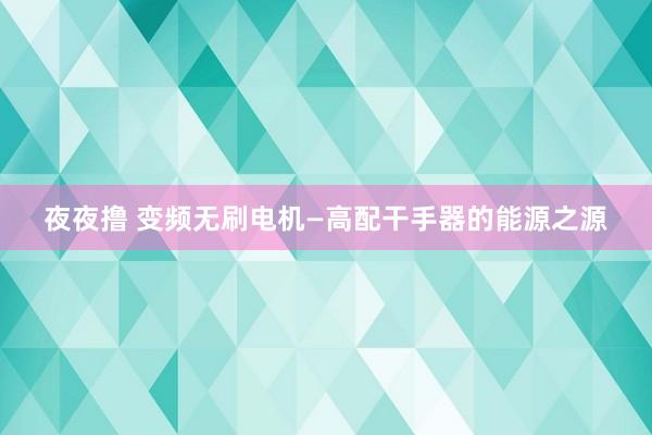 夜夜撸 变频无刷电机—高配干手器的能源之源
