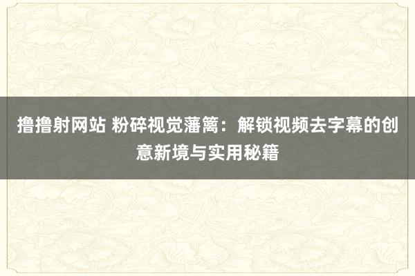 撸撸射网站 粉碎视觉藩篱：解锁视频去字幕的创意新境与实用秘籍