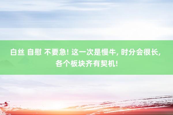 白丝 自慰 不要急! 这一次是慢牛， 时分会很长， 各个板块齐有契机!