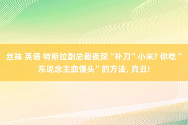 丝袜 英语 特斯拉副总裁夜深“补刀”小米? 你吃“东说念主血馒头”的方法， 真丑!