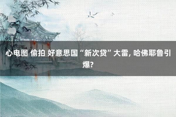 心电图 偷拍 好意思国“新次贷”大雷， 哈佛耶鲁引爆?