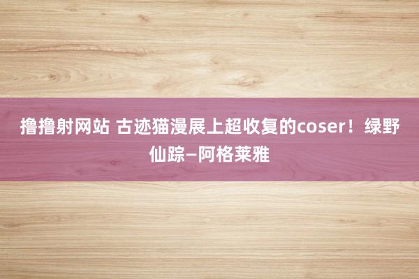 撸撸射网站 古迹猫漫展上超收复的coser！绿野仙踪—阿格莱雅