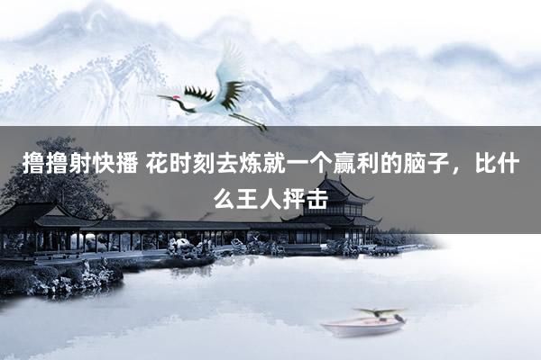 撸撸射快播 花时刻去炼就一个赢利的脑子，比什么王人抨击