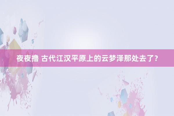 夜夜撸 古代江汉平原上的云梦泽那处去了？
