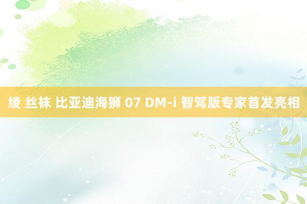绫 丝袜 比亚迪海狮 07 DM-i 智驾版专家首发亮相