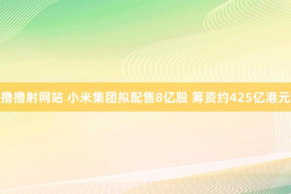 撸撸射网站 小米集团拟配售8亿股 筹资约425亿港元