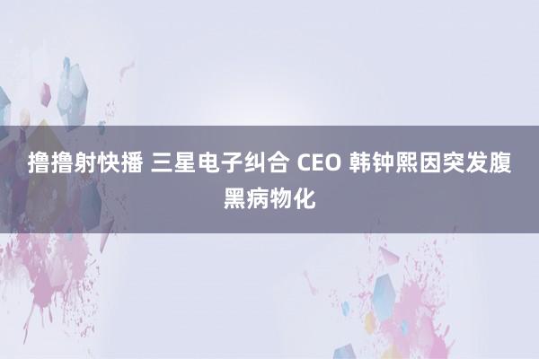 撸撸射快播 三星电子纠合 CEO 韩钟熙因突发腹黑病物化